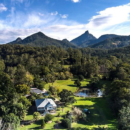 Uki Mavis'S Cabins @ Mt Warning المظهر الخارجي الصورة