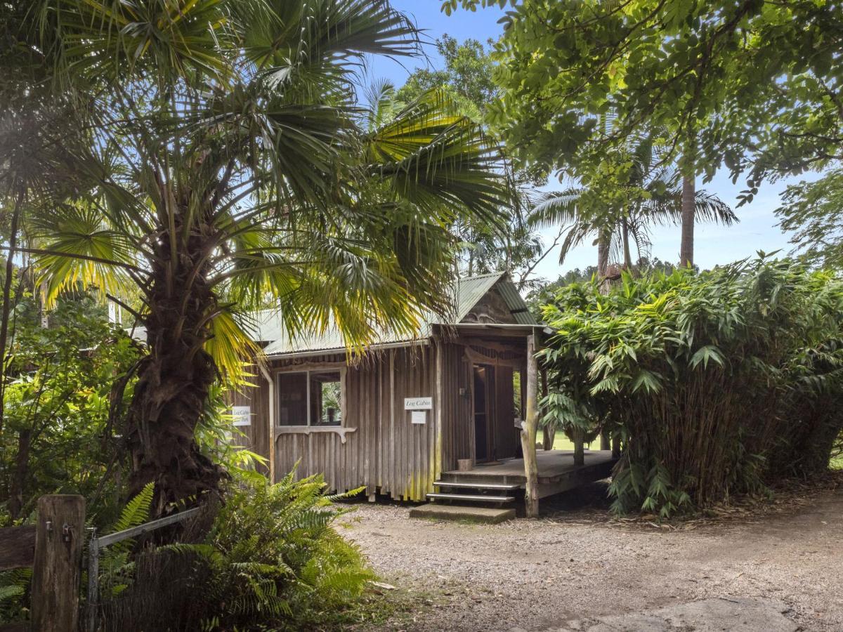 Uki Mavis'S Cabins @ Mt Warning المظهر الخارجي الصورة