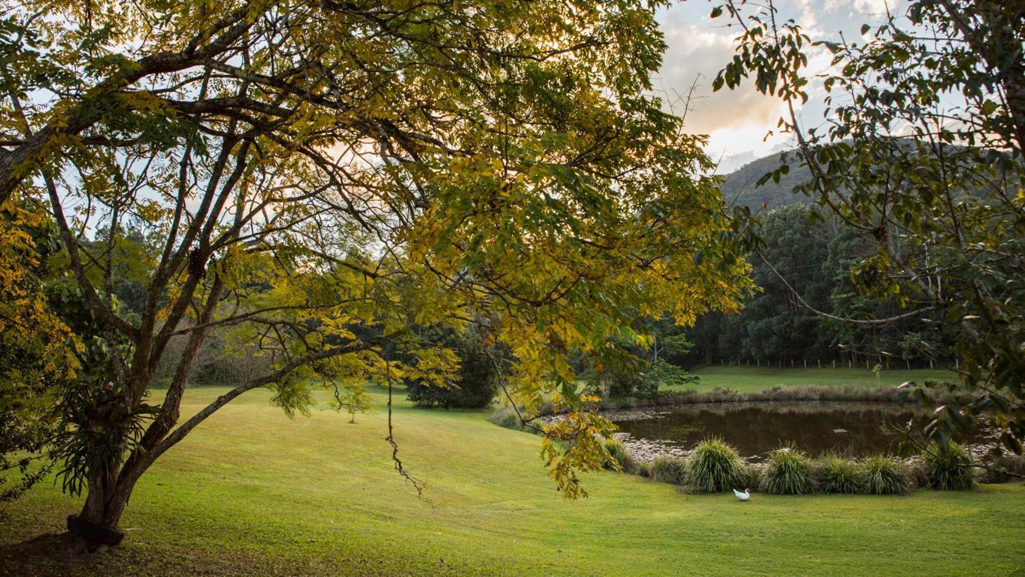 Uki Mavis'S Cabins @ Mt Warning المظهر الخارجي الصورة